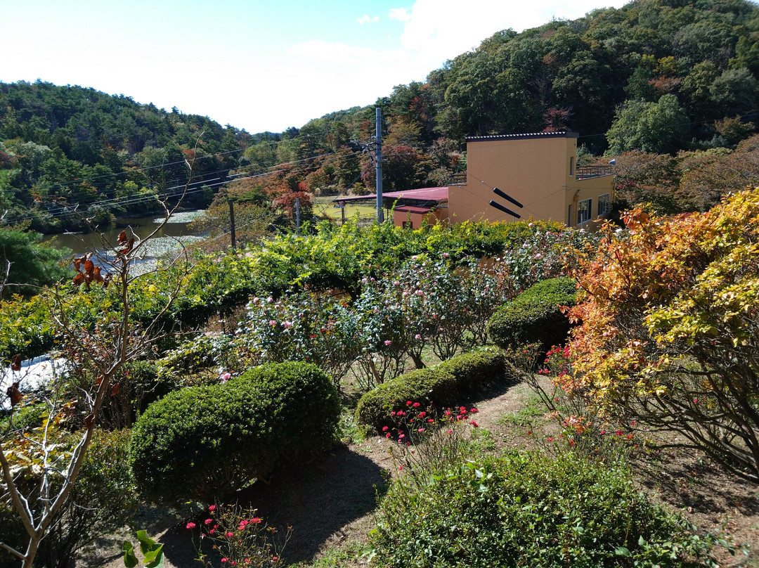 Janohana Yurakuen Garden景点图片