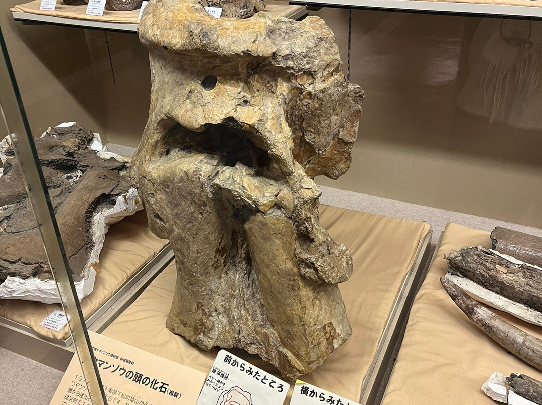 Lake Nojiri Naumann Elephant Museum-信浓町 必去景点