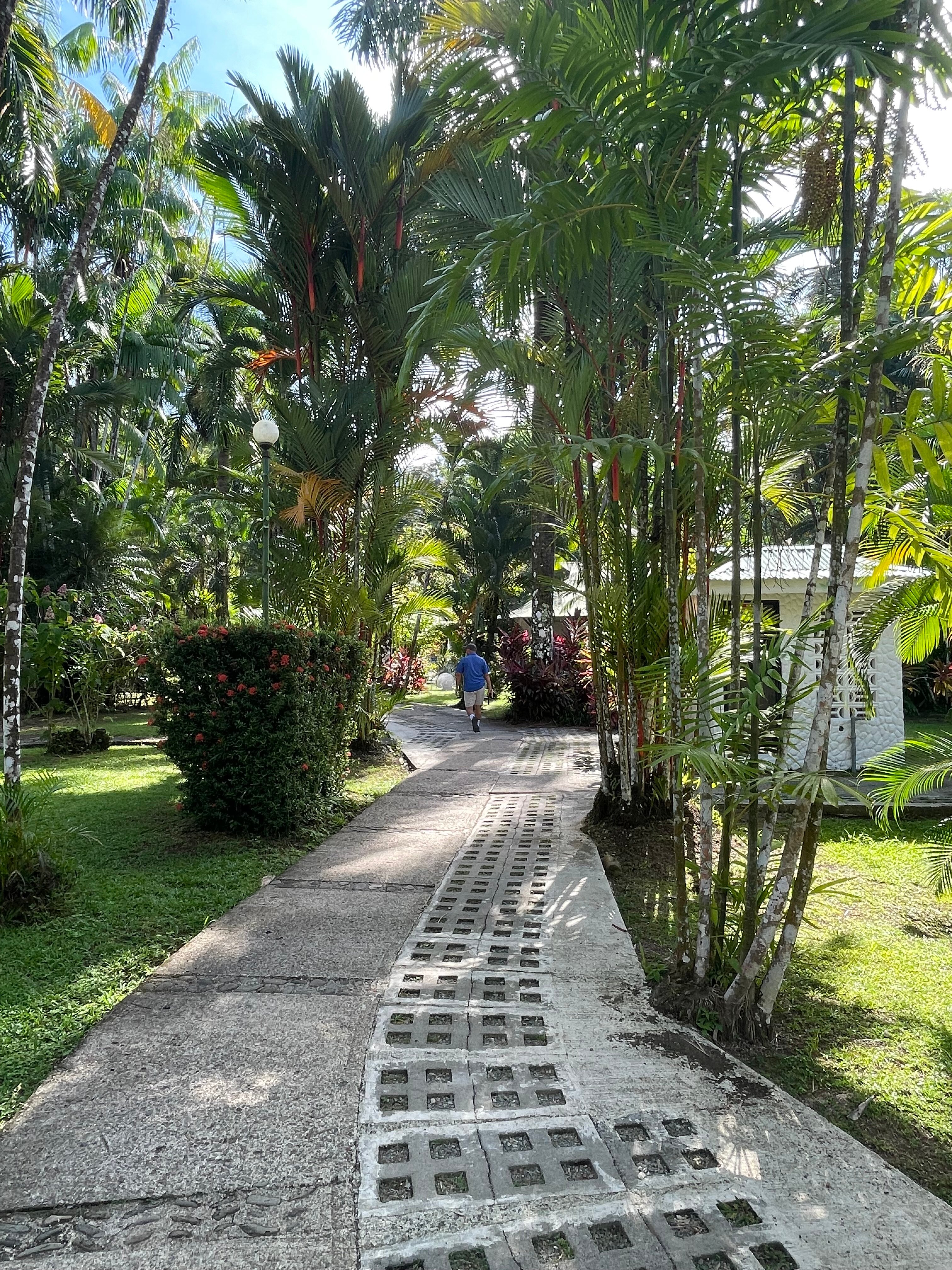 Villas Rio Mar-浴室