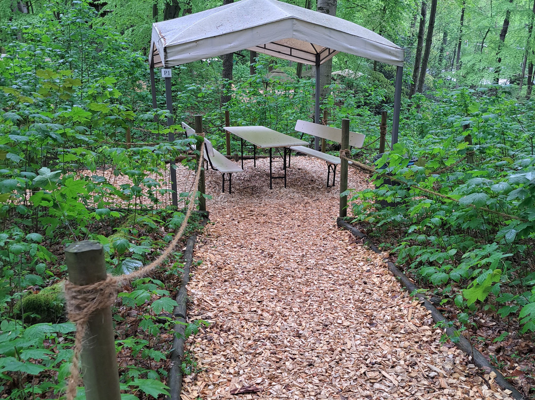 Kletterwald Freischütz景点图片
