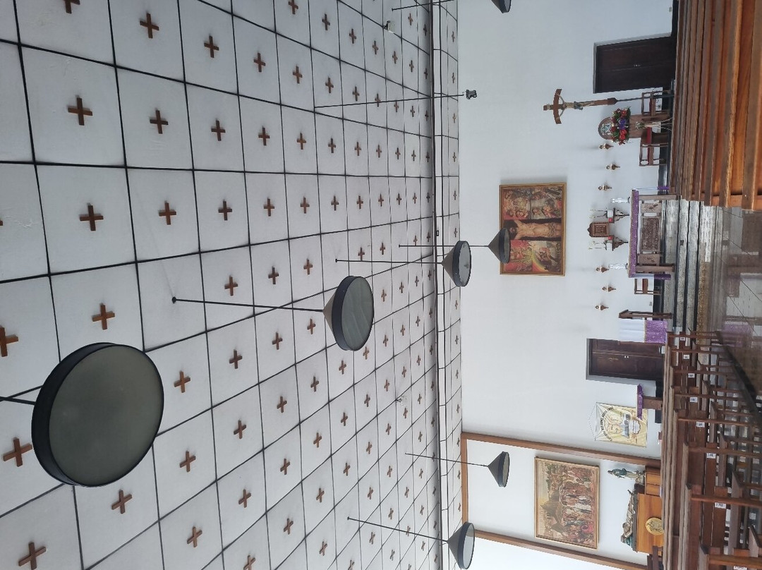 Catedral Santa Cruz景点图片