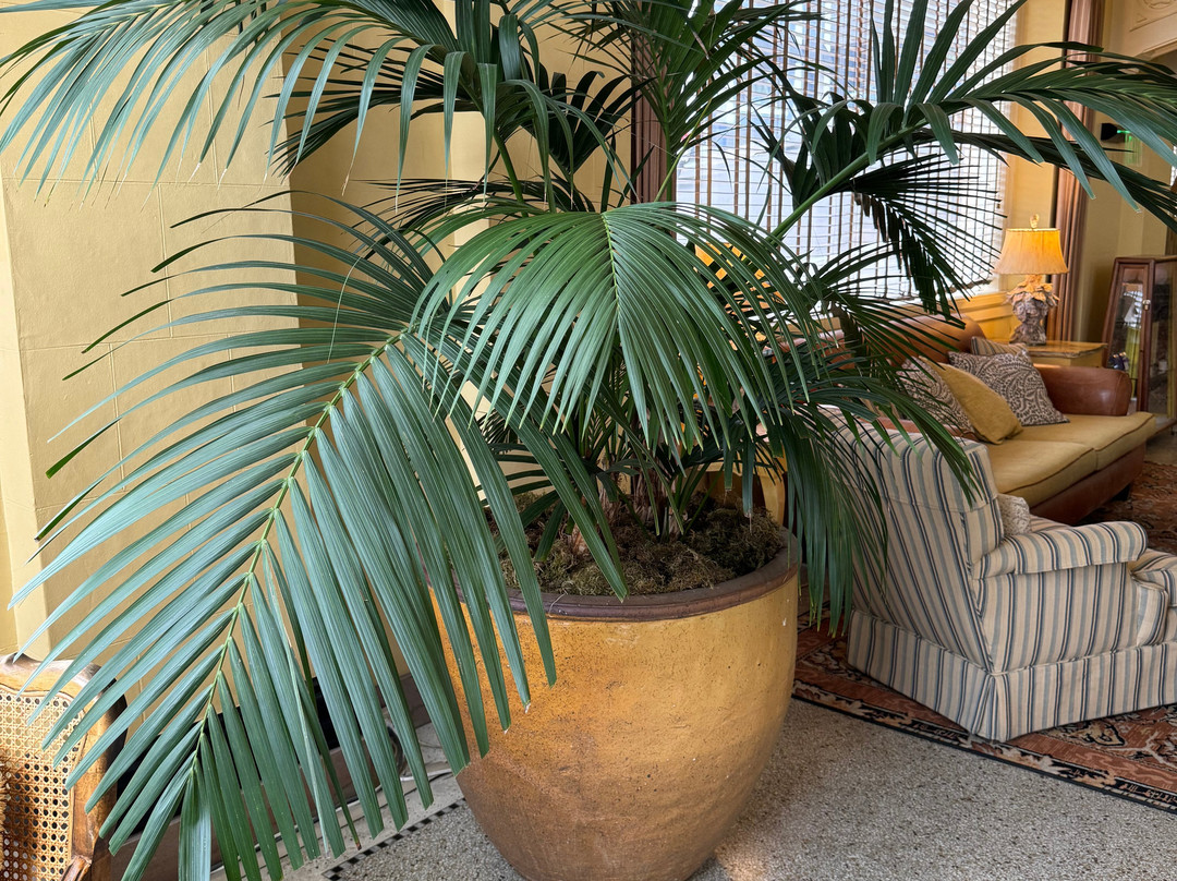 Ashland Springs Hotel主图