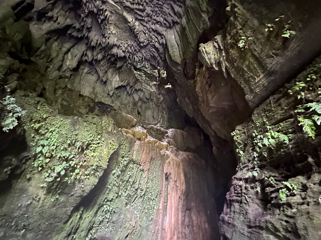 Millennium Cave-卢甘维尔必去景点