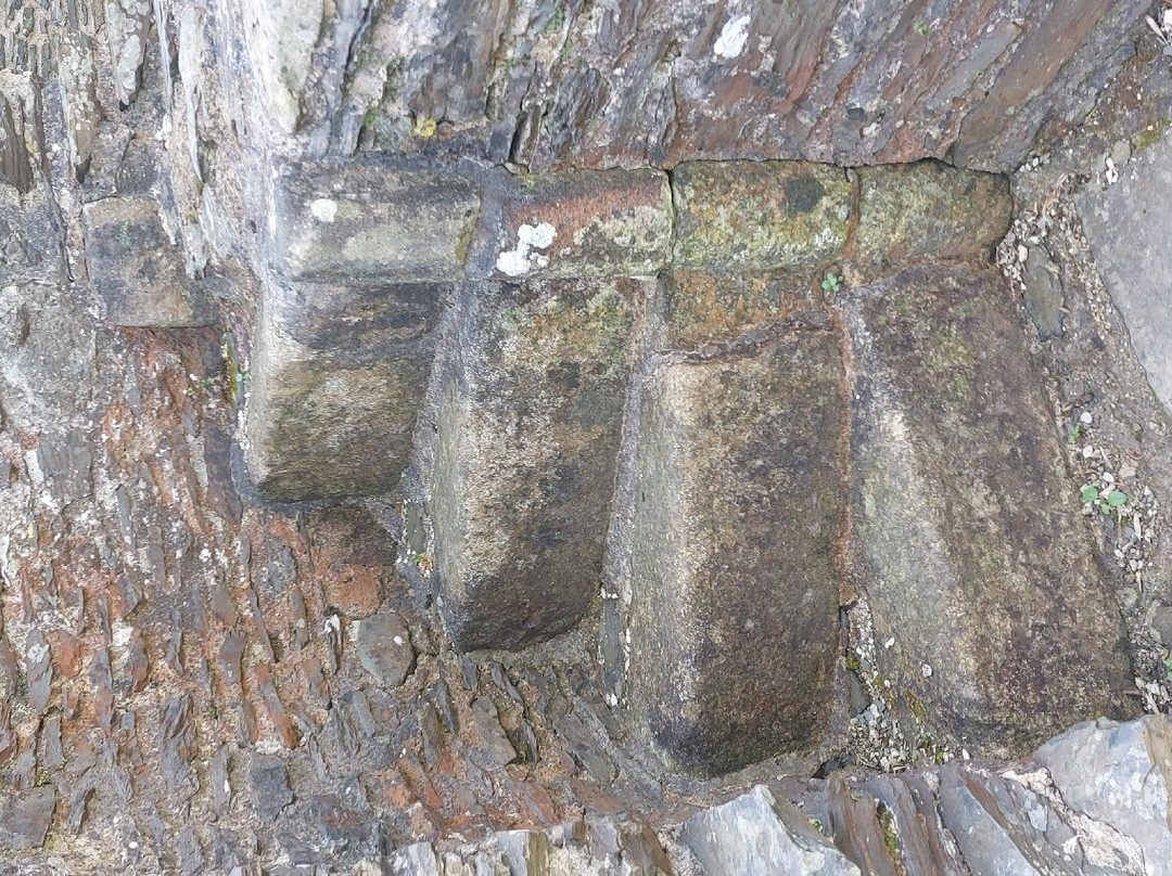 Valle Crucis Abbey景点图片