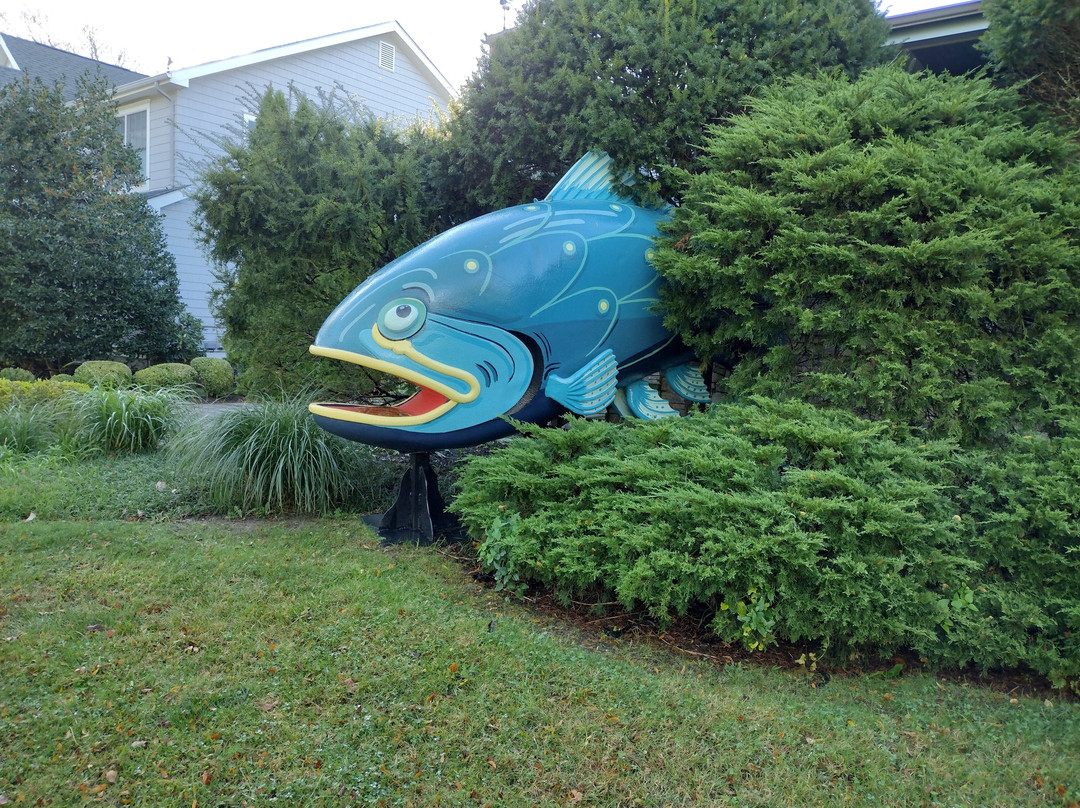 Blue Fish Inn主图