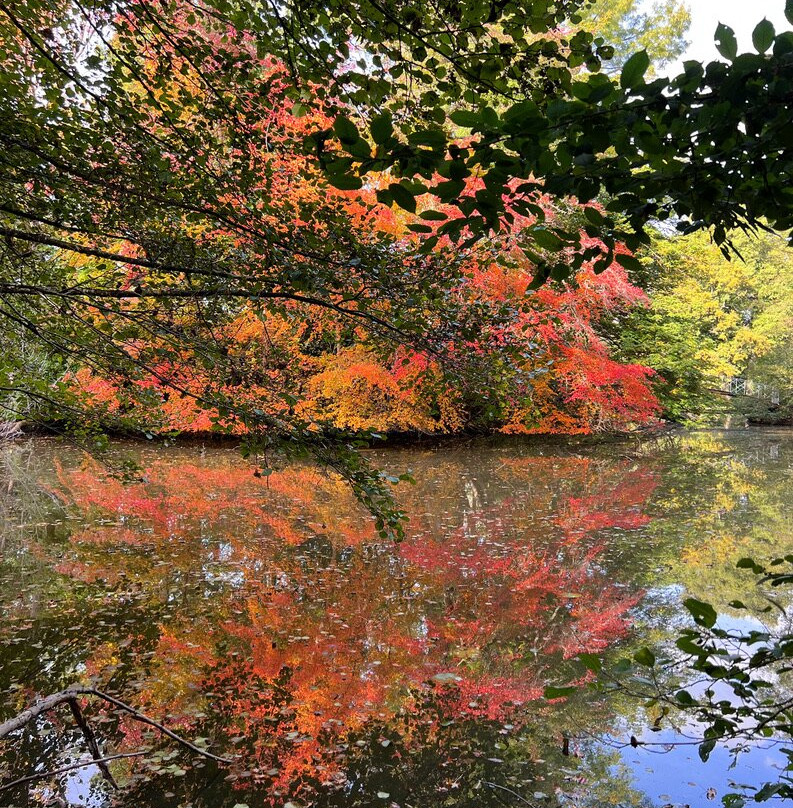 Parc Et Chateau D'auzon景点图片