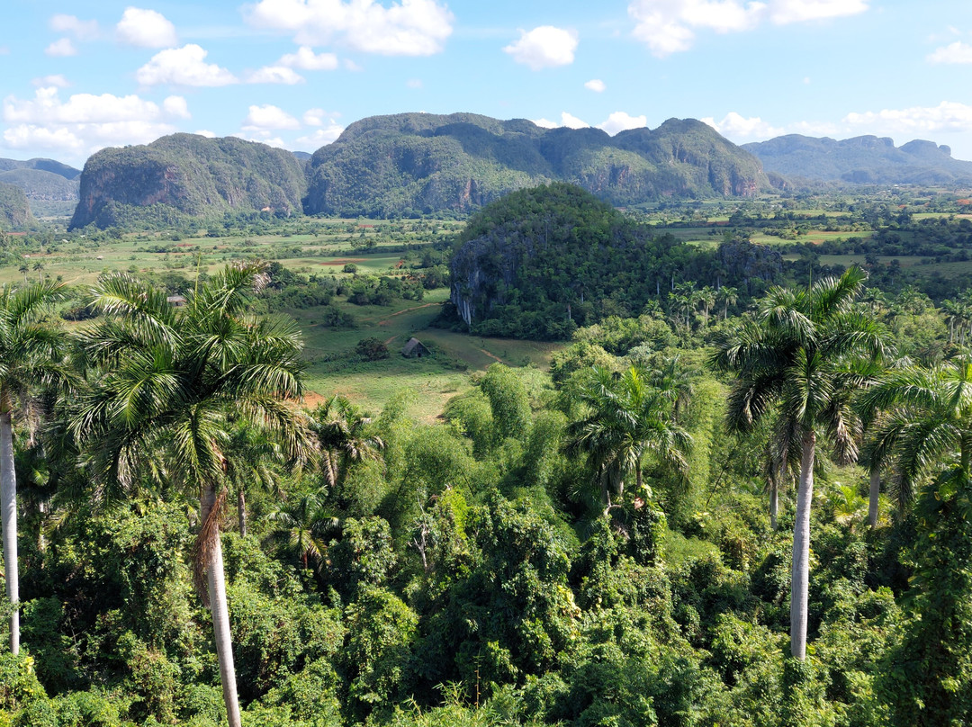 Taxis Clavijo-哈瓦那必去景点