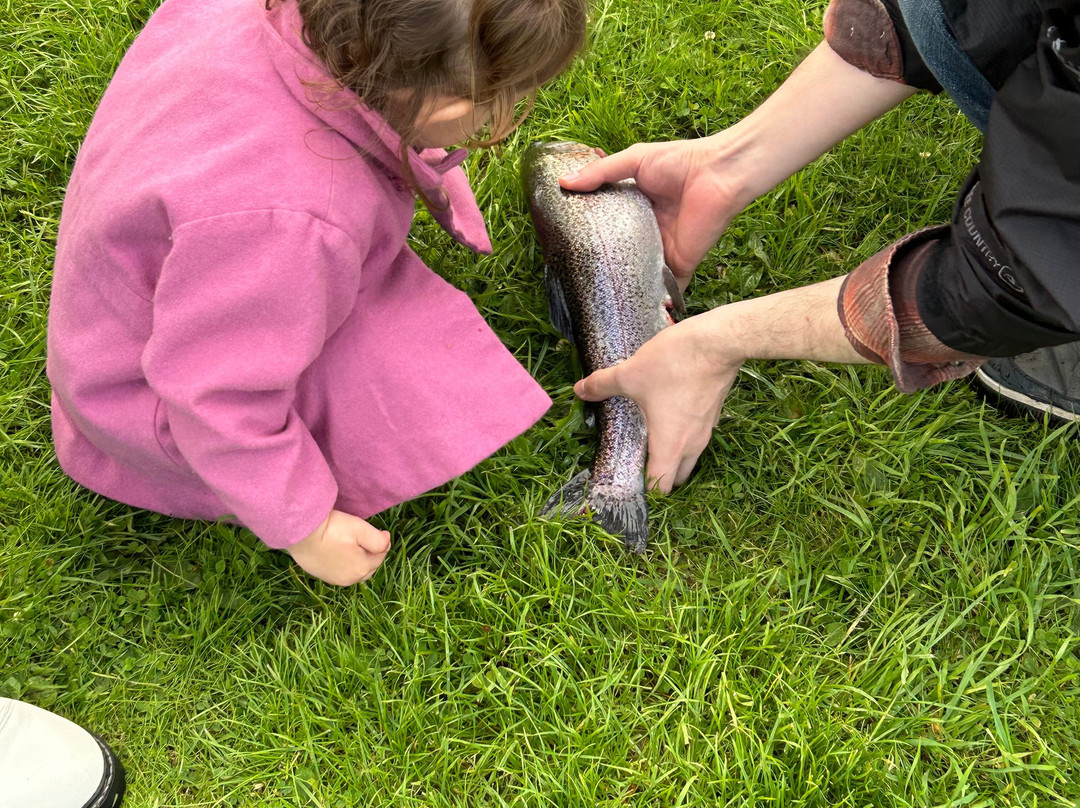 Edinburgh Falconry & Fishing-爱丁堡必去景点