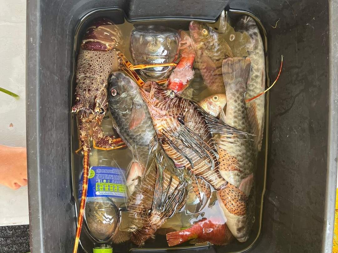 Kefalonia Fishing Tours景点图片