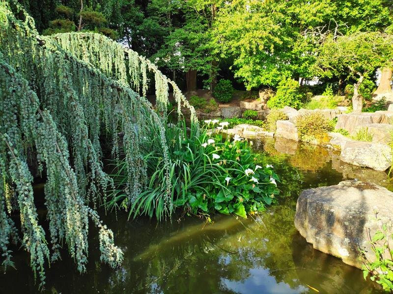 Jardin Ile de Versailles景点图片