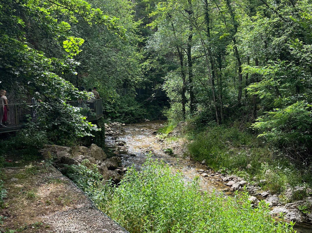 Enrico Limousine Service - Private Tours-热那亚必去景点