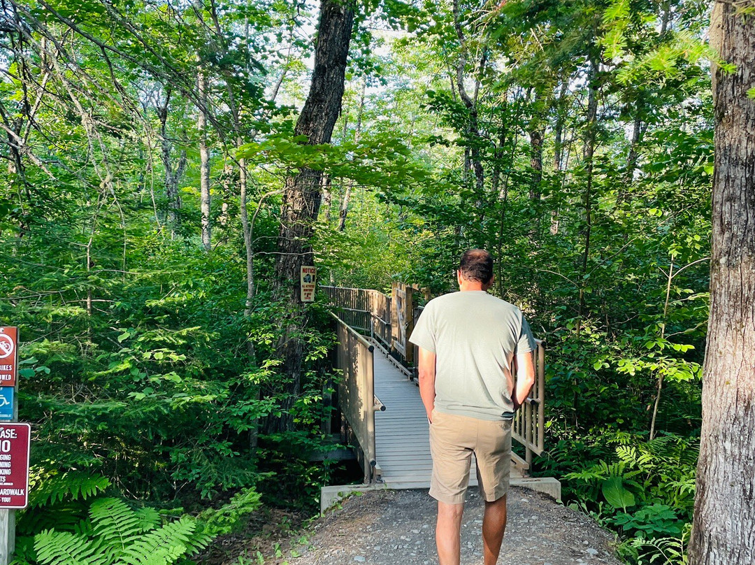 Orono Bog Boardwalk景点图片
