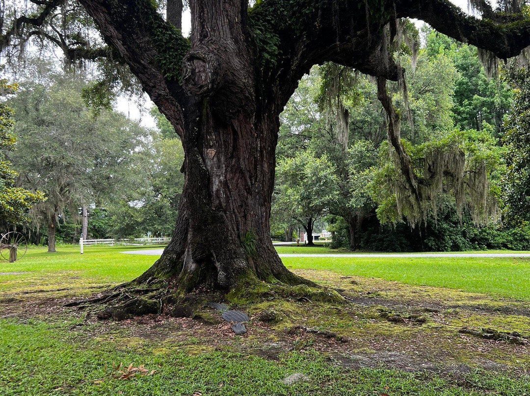 Frampton Plantation House景点图片