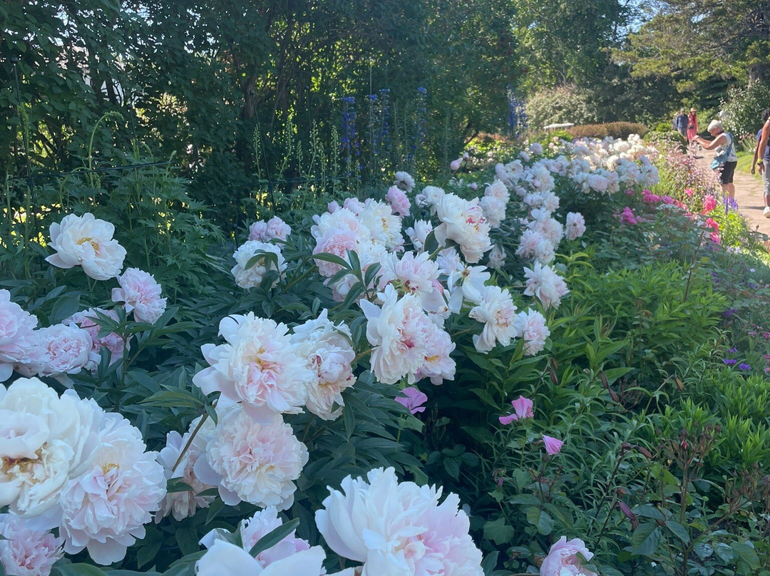 Jardins de Metis / Reford Gardens景点图片