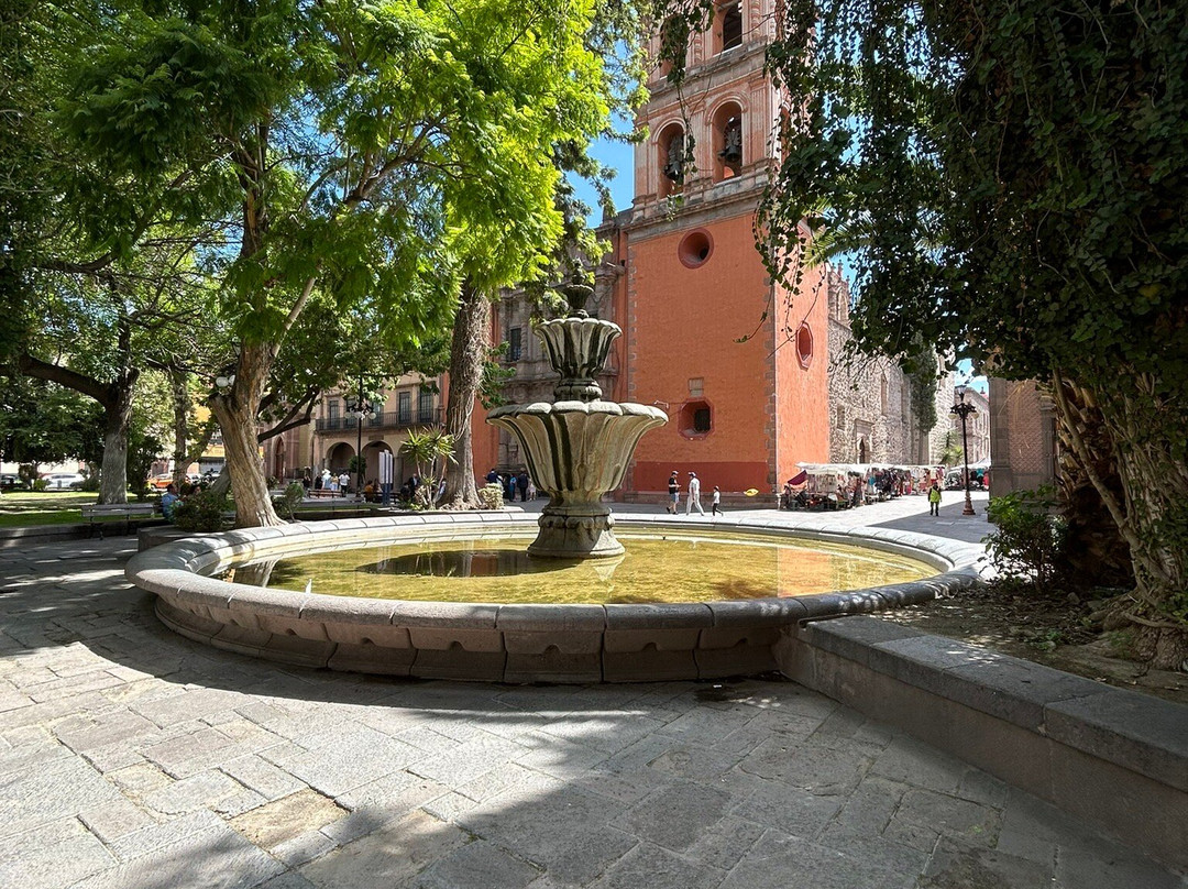 Plaza de San Francisco景点图片