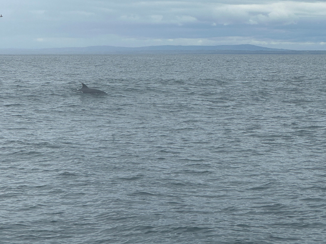Fishing Adventures-Kilbaha必去景点