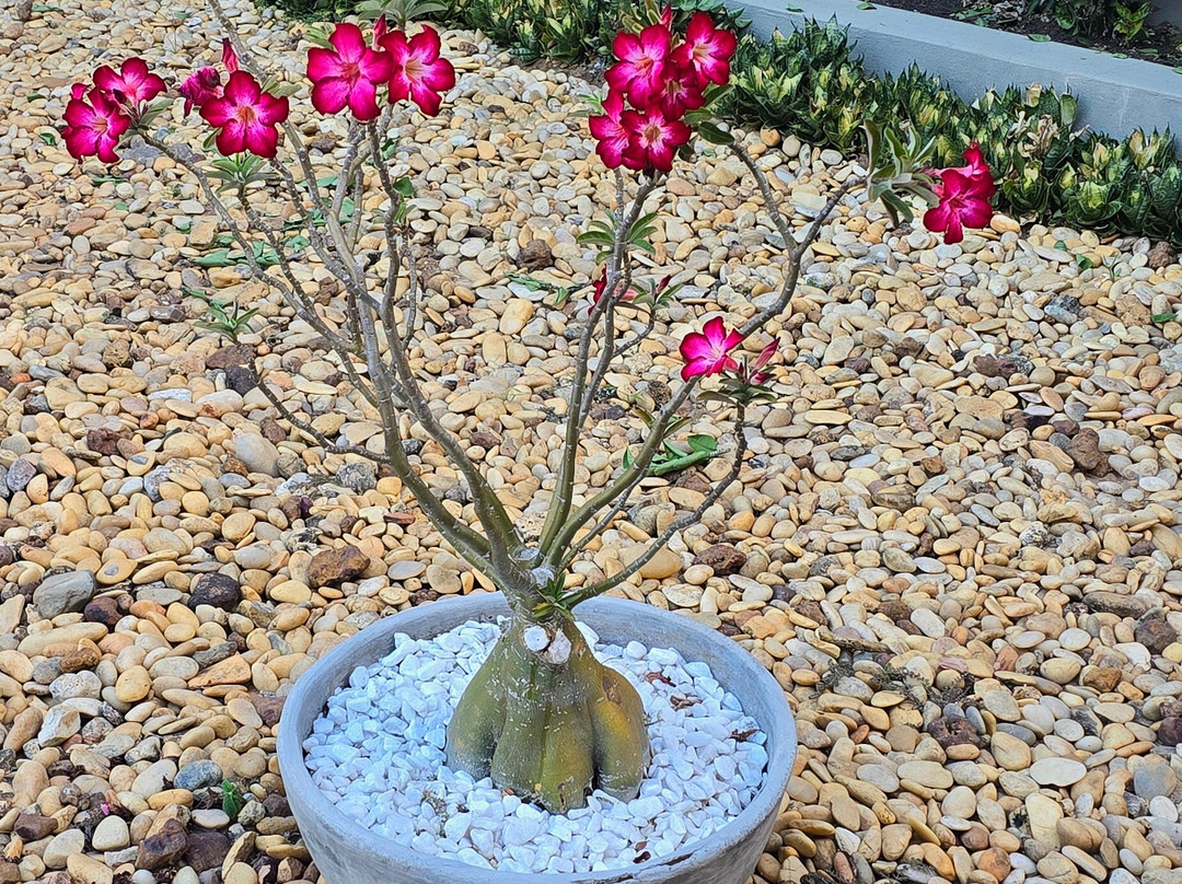 Pousada Maktub主图