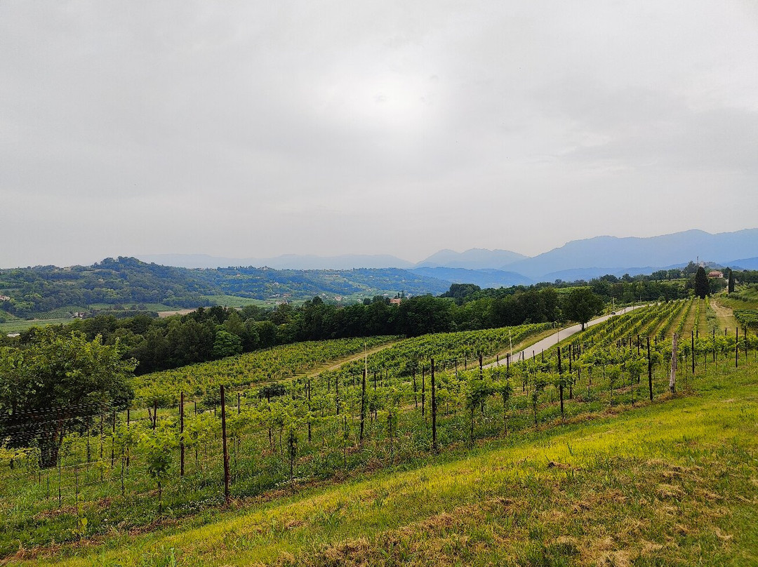 Azienda Agricola Mani Sagge景点图片