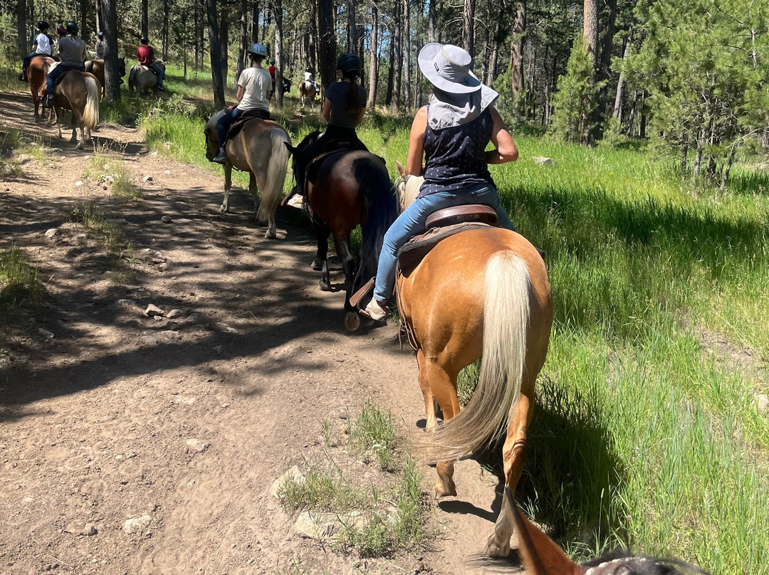 Blue Bell Stables-卡斯特必去景点