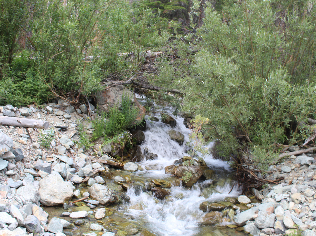 Kirwin Ghost Town-Meeteetse必去景点