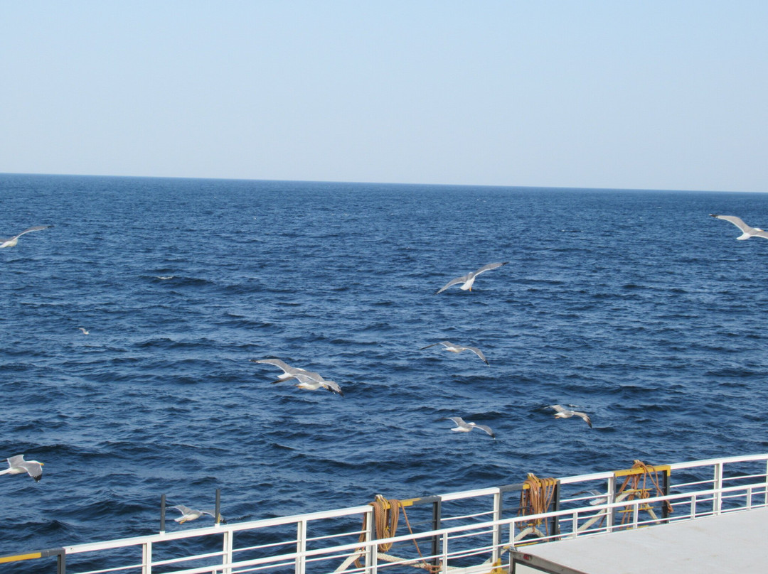 Thassos Ferries-Thassos Town (Limenas)必去景点