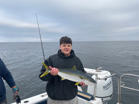 Slice Of Life Charter Company-开普敦中心区必去景点