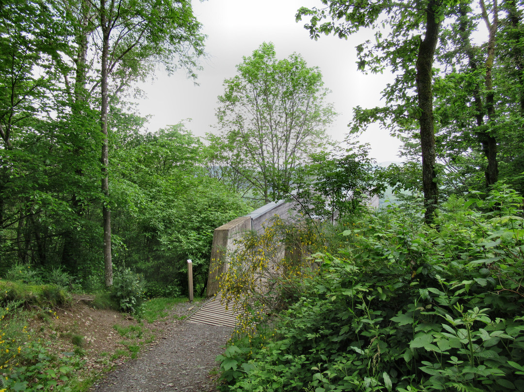 Panorama Platform Belvedere Burfelt-Esch-sur-Sure必去景点