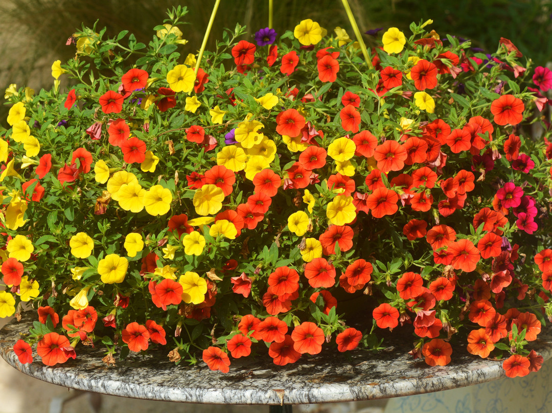 Le Manoir de Nabinaud主图