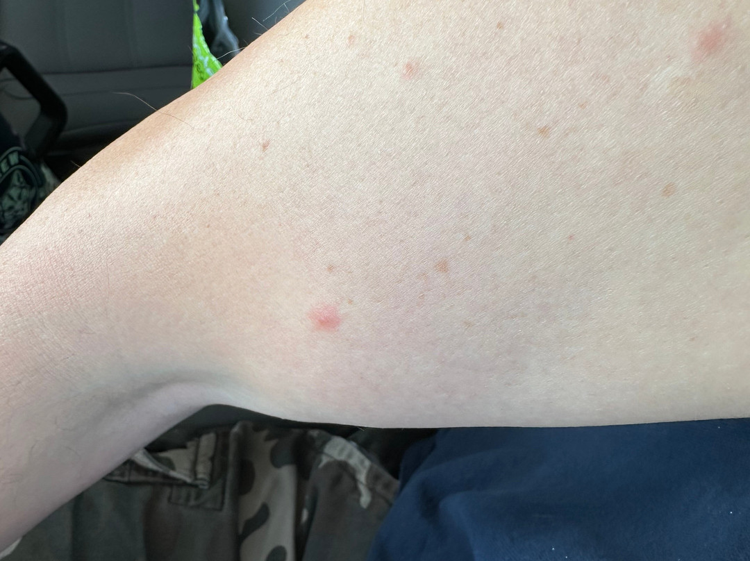 Holiday Inn Indianapolis Airport By IHG主图