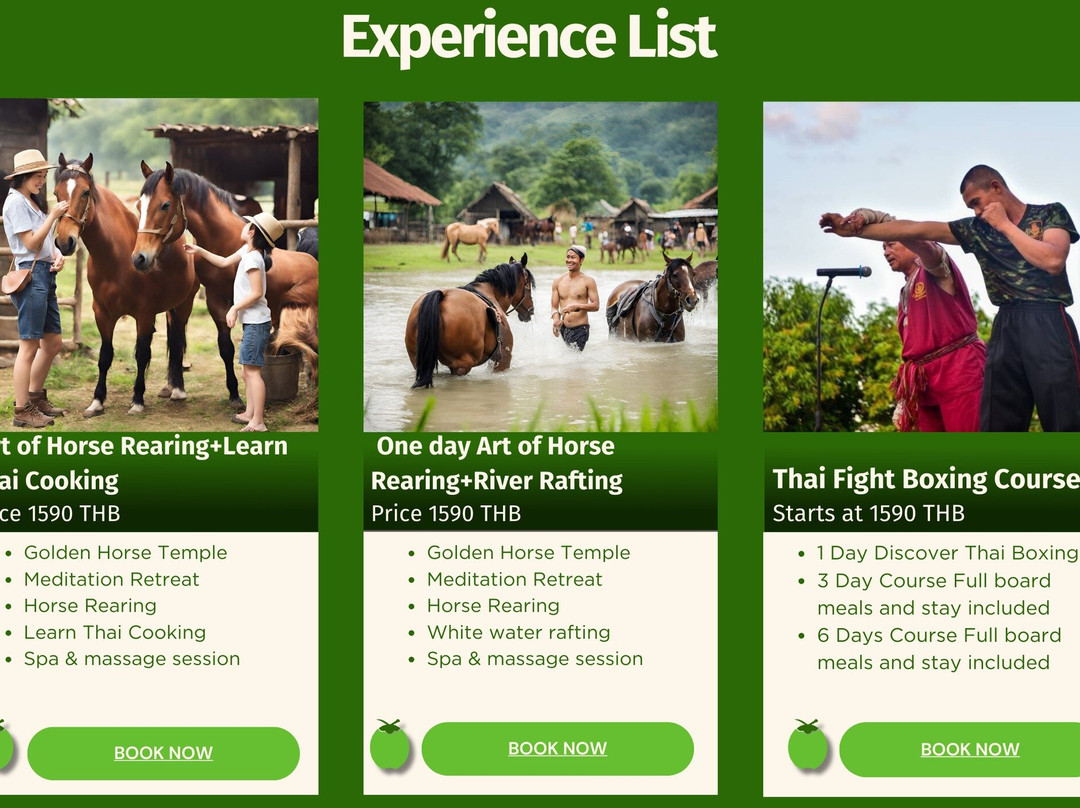 Coconut Localnuts Let's Go with locals-清莱必去景点