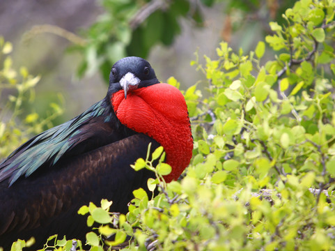 QUINTI-基多必去景点