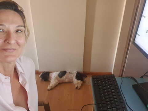 The Park Hotel主图