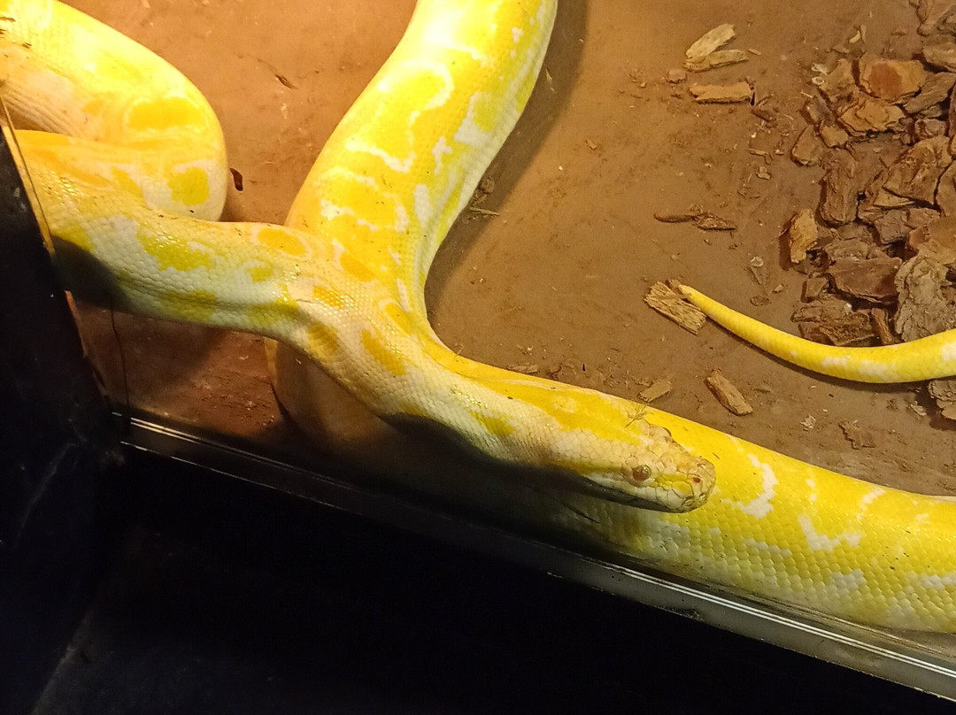 Serpentario Educativo de Tigre-蒂格雷必去景点