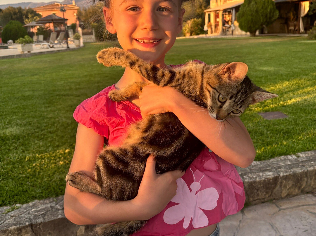 Vyzantio Apartments主图