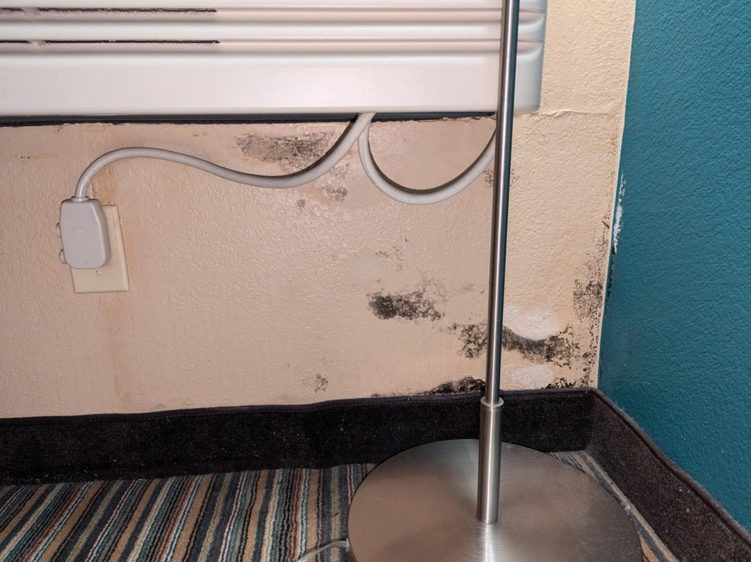 Best Western Warren Hotel主图