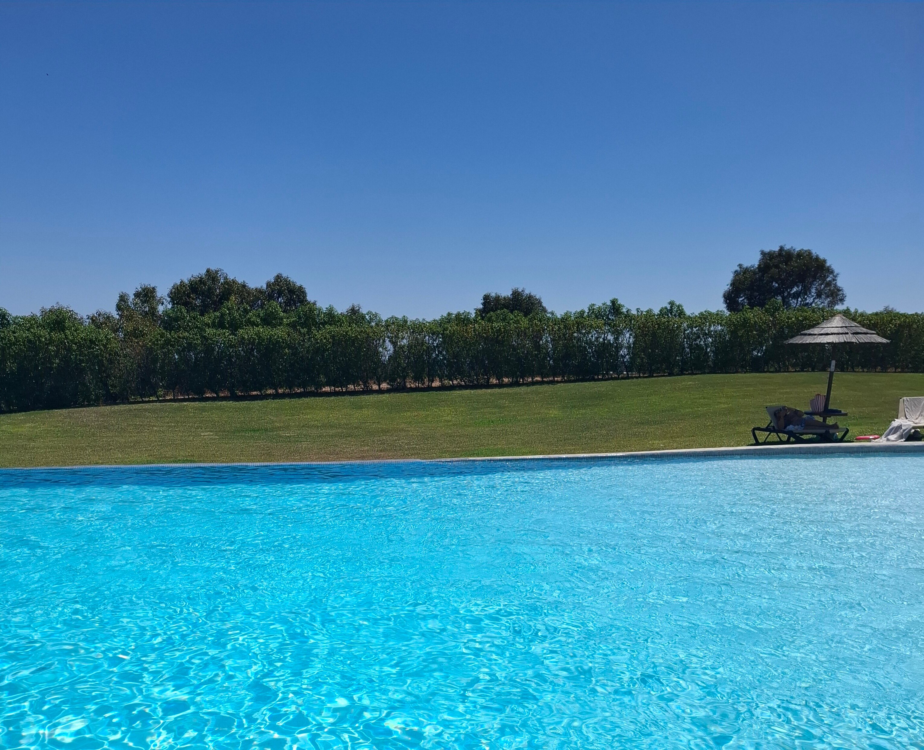 Algarve Race Resort - Hotel-泳池