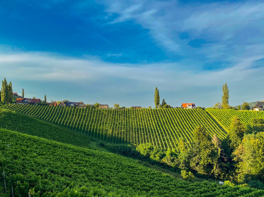 Šerbinek Winery & the Heart-Shaped Wine Road-Zgornja Kungota必去景点