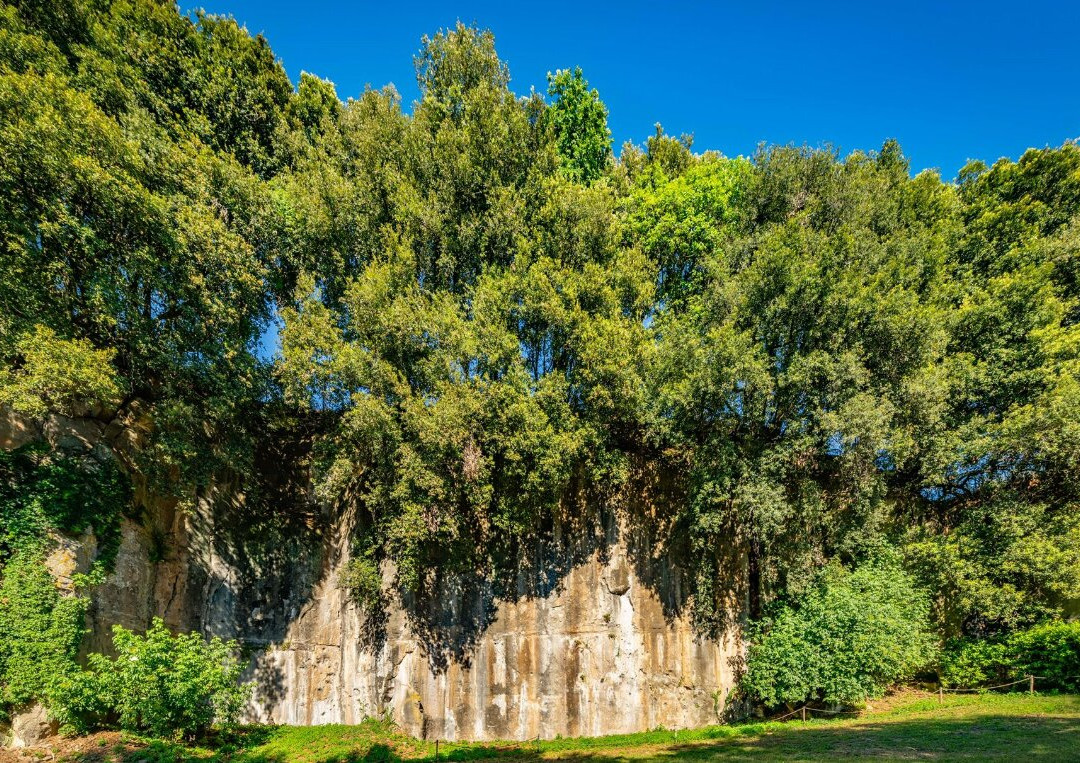 Tenuta Pantanacci