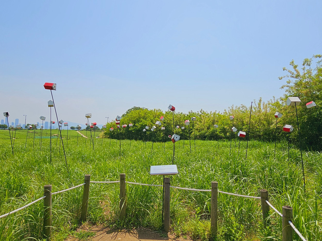 Haneul Park景点图片