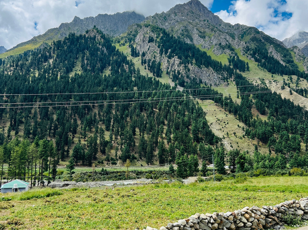 Naltar Valley-Naltar Valley必去景点
