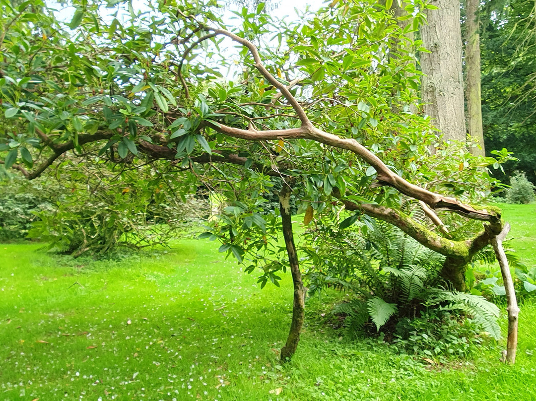Galloway House Gardens景点图片