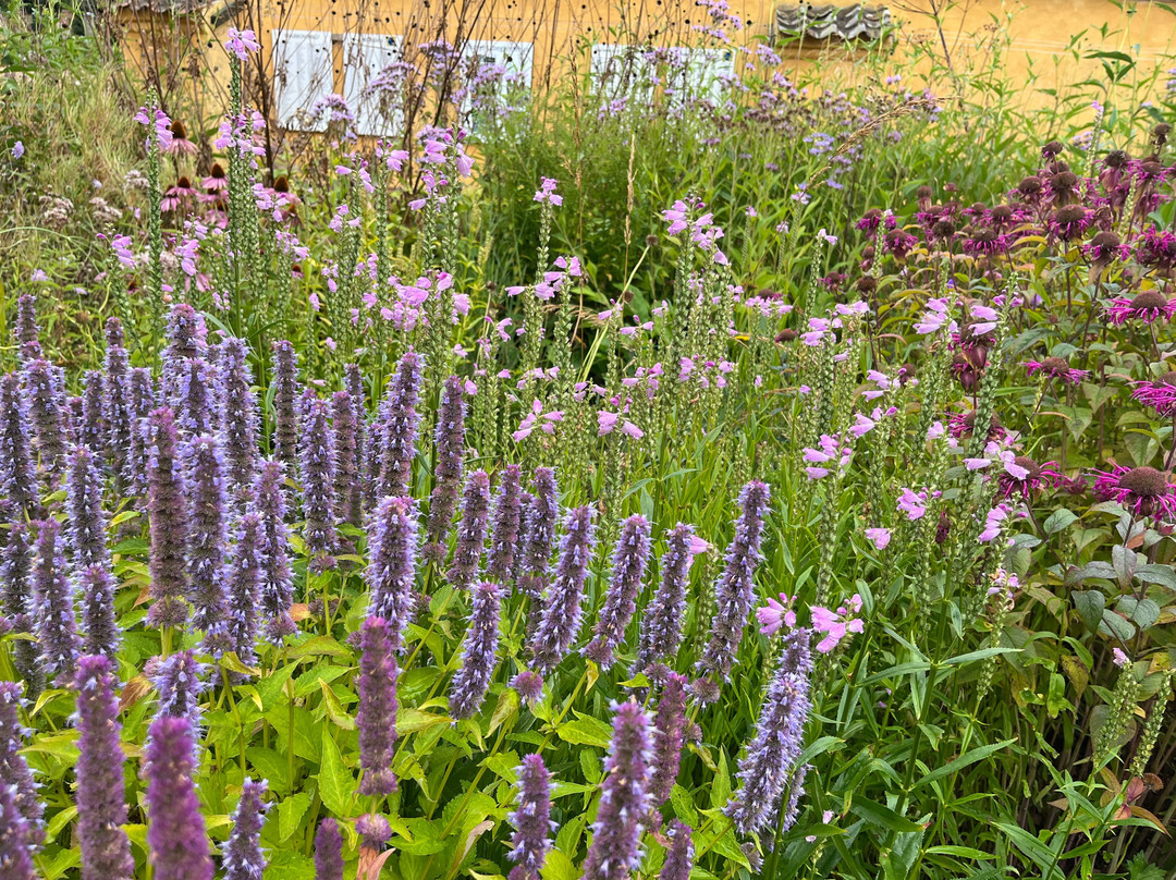Langeland's Beekeepers' Association-Tranekaer必去景点