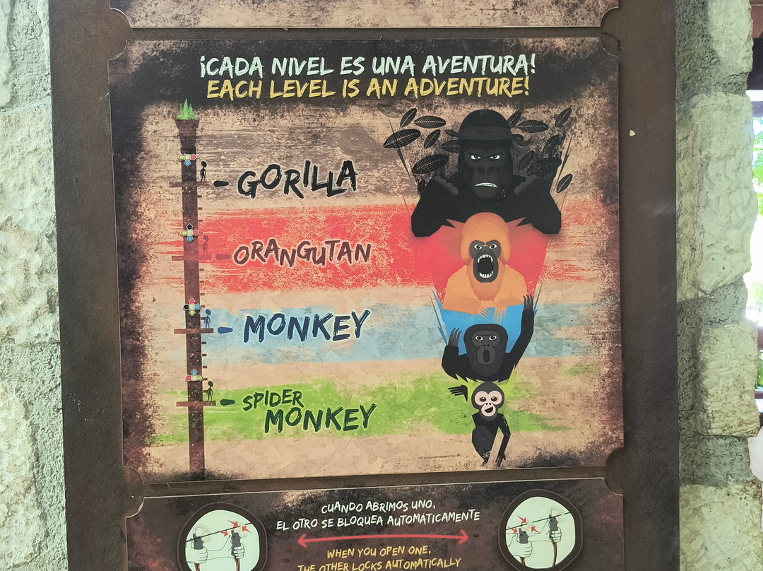 Xavage Park by Xcaret-坎昆必去景点