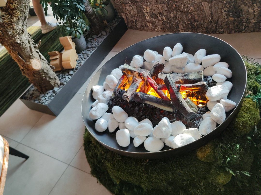 Hotel Fritz - Das Hotel der Bäume主图