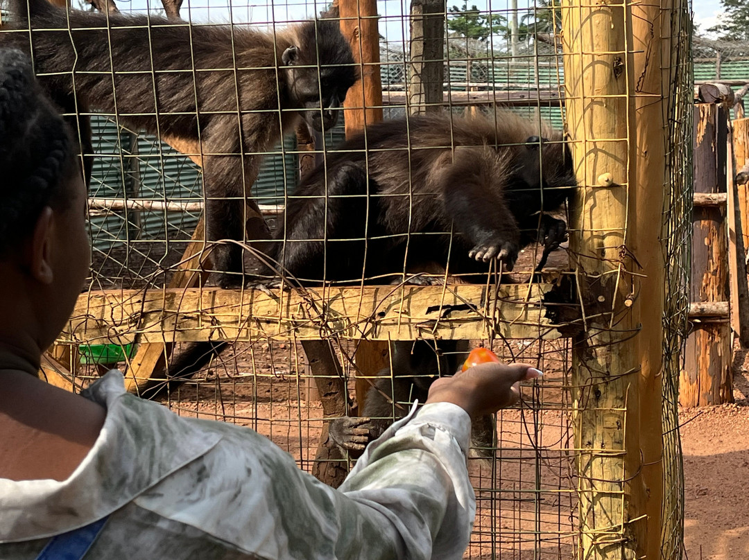 Nile Reptile Park-金贾必去景点