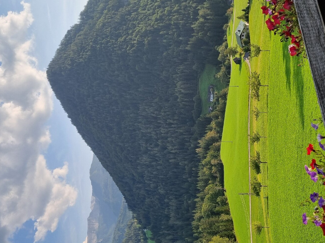 Hotel Sonnfeld主图