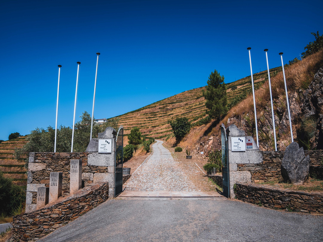 Quinta Da Pedra Alta景点图片