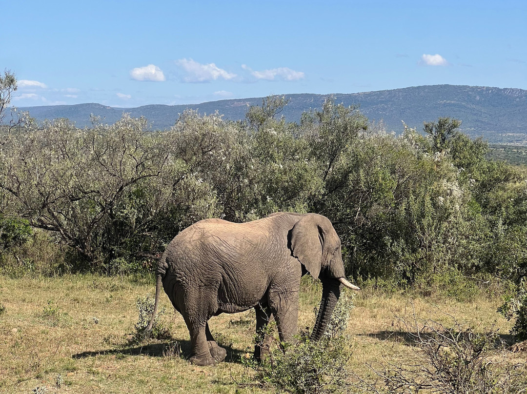 Sogno Kenya con Lorenzo di Andre-瓦塔木必去景点