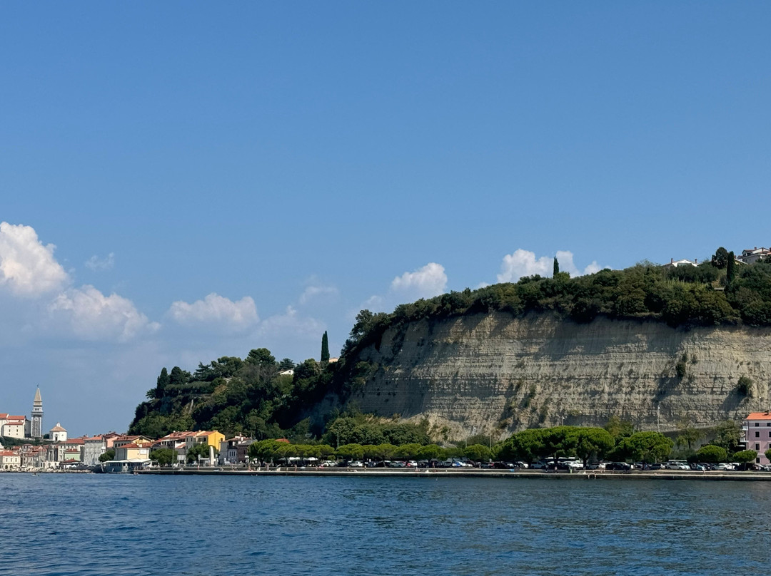 Rent a Boat Portoroz-波多若斯必去景点