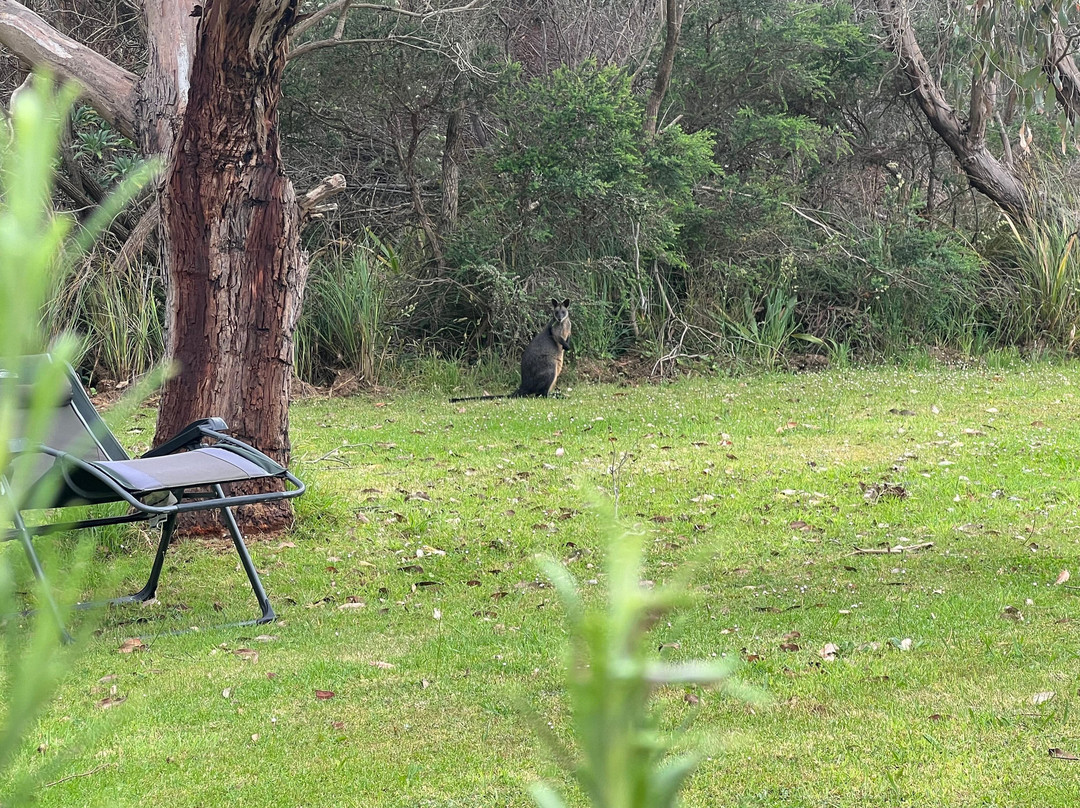 坎贝尔港摩托旅馆主图